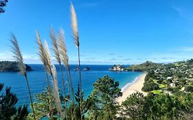 Hahei Views